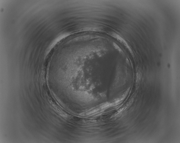 X0000067891019200604271821