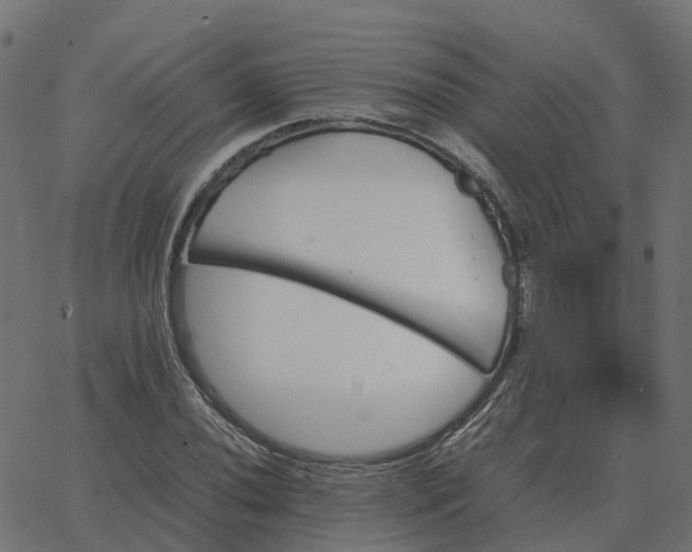 X0000067891020200604271821