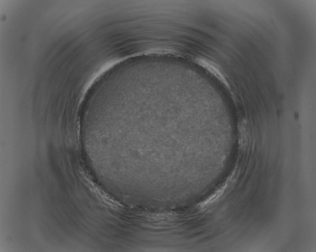 X0000067891021200604271821