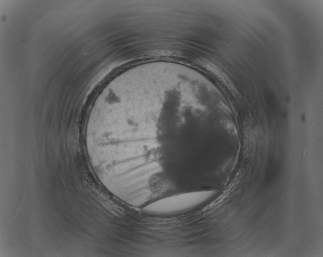 X0000067891023200604271821