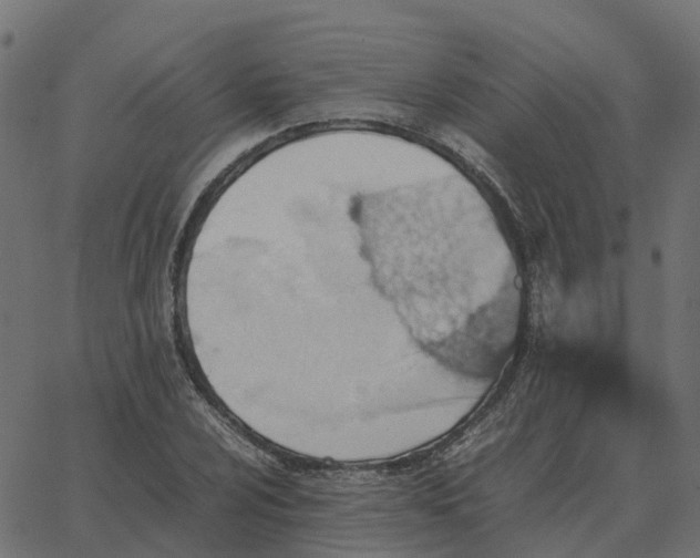 X0000067891024200604271821