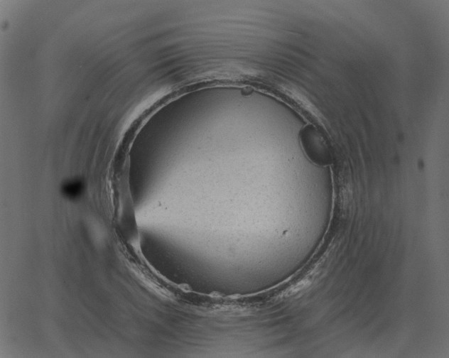 X0000067891026200604271821