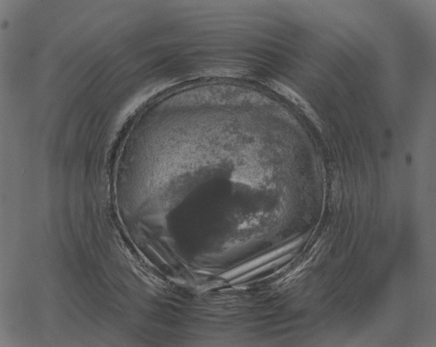 X0000067891027200604271821