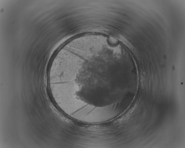 X0000067891028200604271821