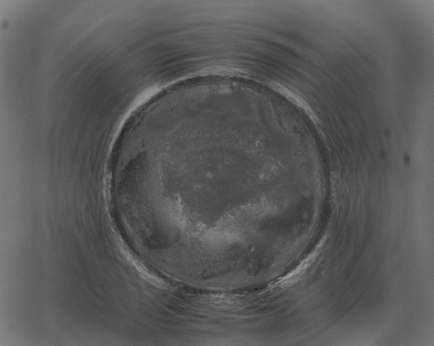 X0000067891029200604271821