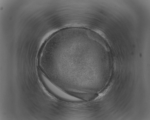 X0000067891030200604271821