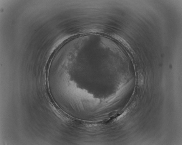 X0000067891031200604271821