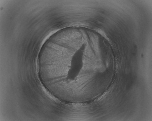 X0000067891032200604271821