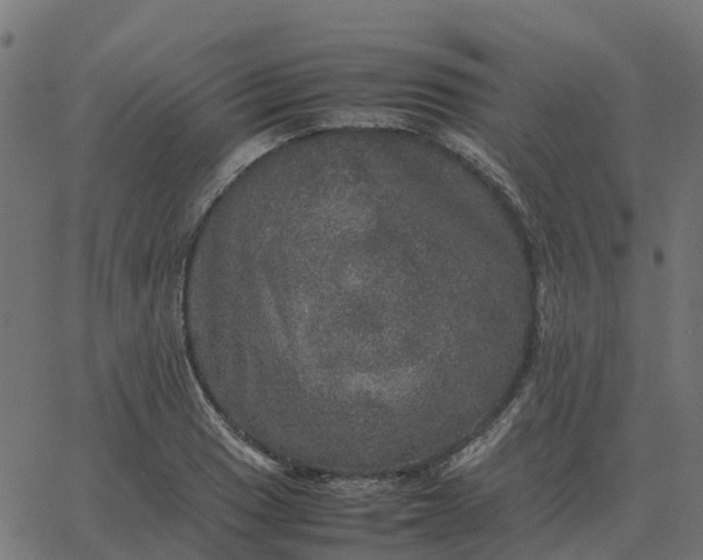 X0000067891033200604271821