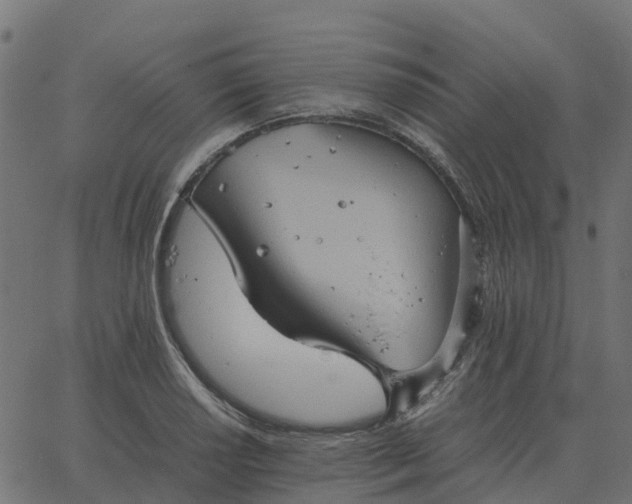 X0000067891034200604271821