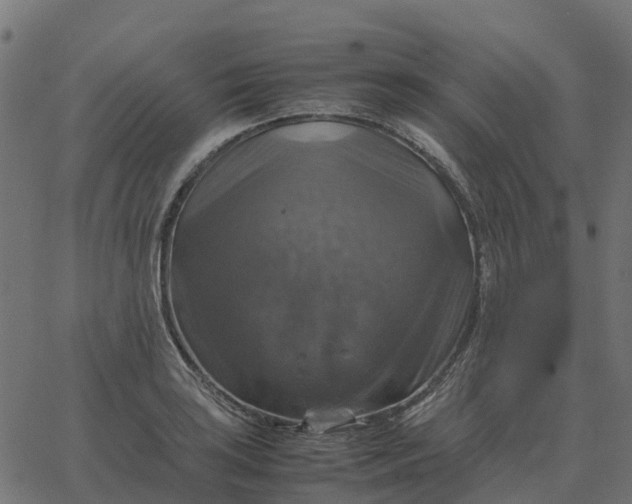 X0000067891035200604271821