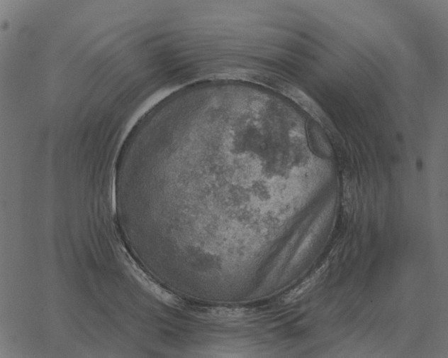 X0000067891036200604271821