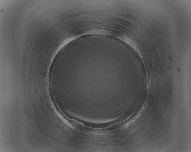 X0000067891037200604271821