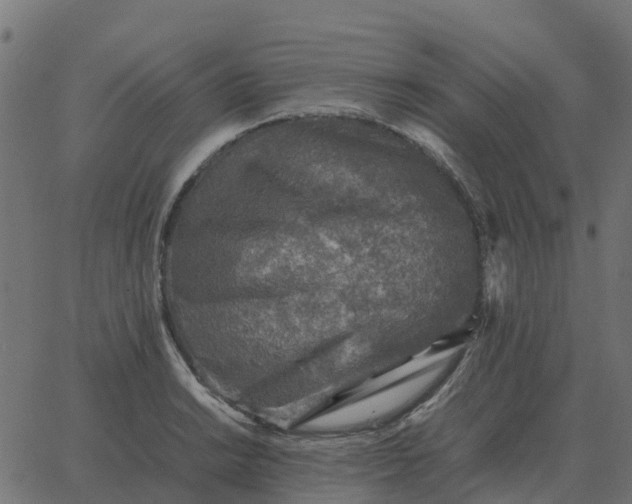 X0000067891038200604271821