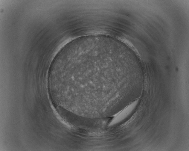 X0000067891039200604271821