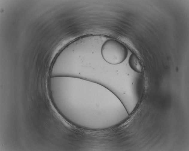 X0000067891040200604271821