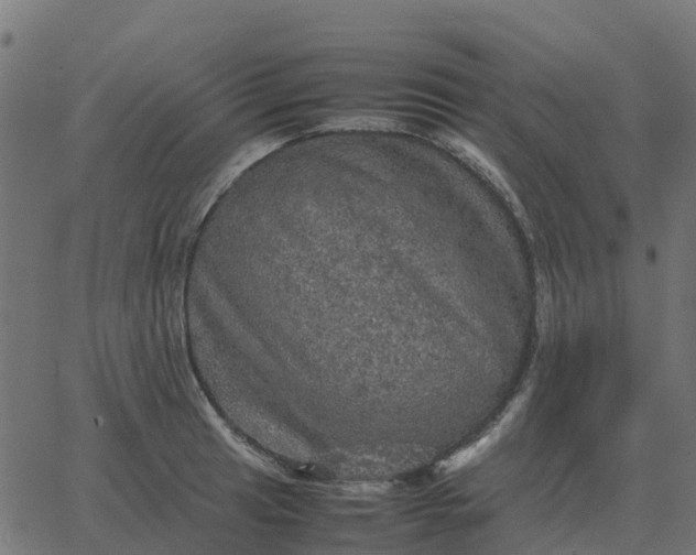 X0000067891041200604271821