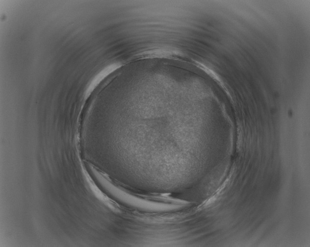 X0000067891042200604271821