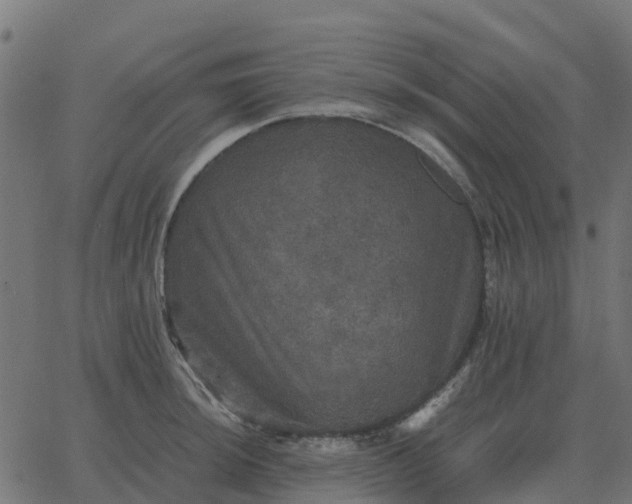 X0000067891044200604271821