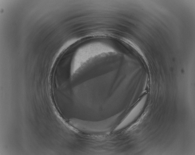 X0000067891045200604271821