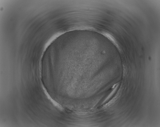 X0000067891046200604271821