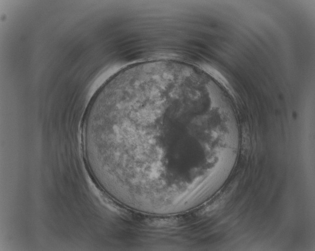 X0000067891047200604271821