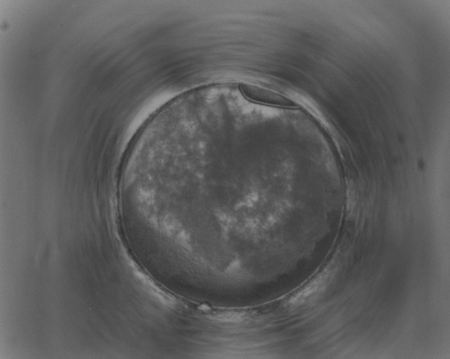 X0000067891048200604271821