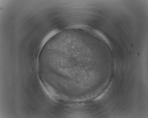 X0000067891050200604271821