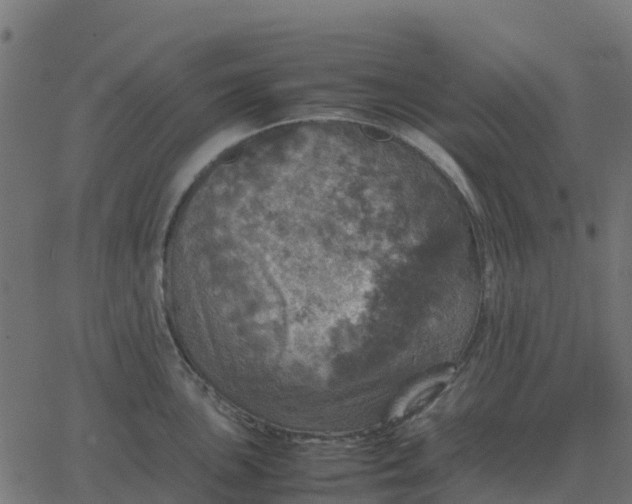 X0000067891051200604271821