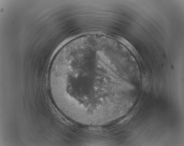 X0000067891052200604271821