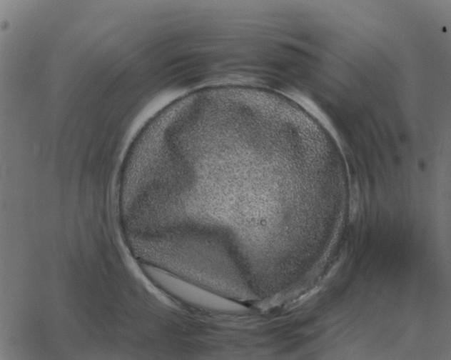 X0000067891053200604271821