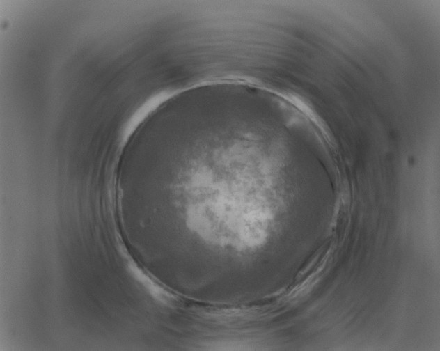 X0000067891054200604271821