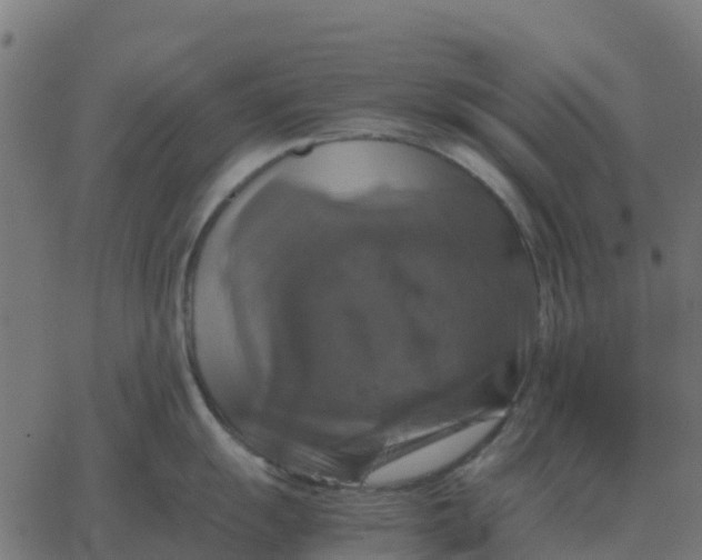 X0000067891055200604271821