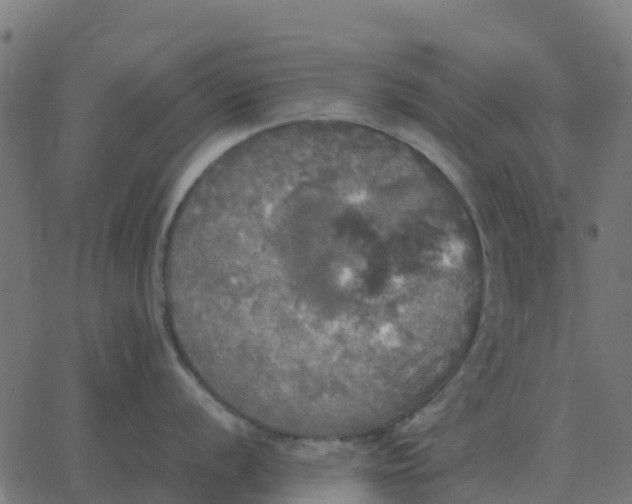 X0000067891056200604271821