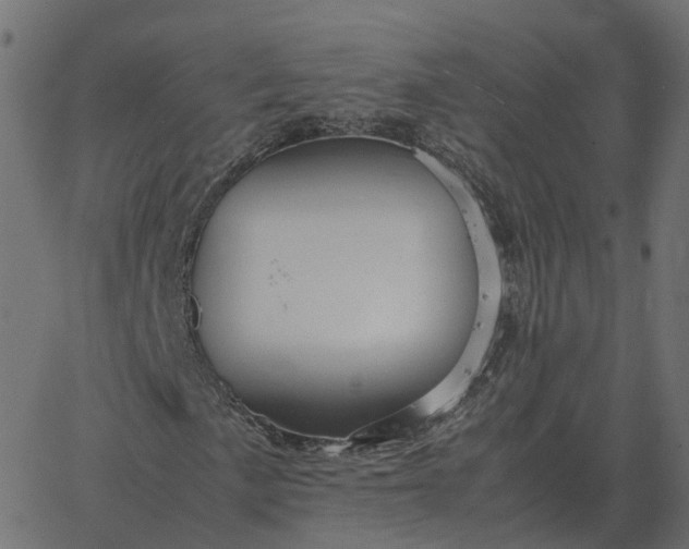 X0000067891057200604271821