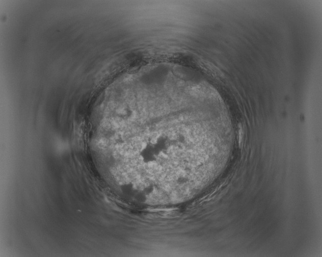 X0000067891059200604271821