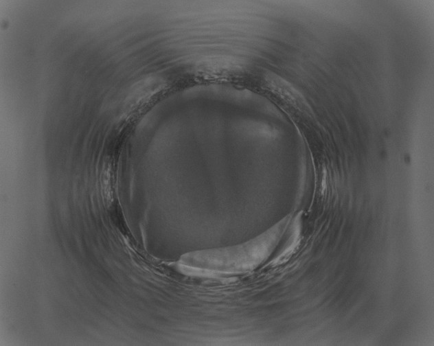 X0000067891060200604271821