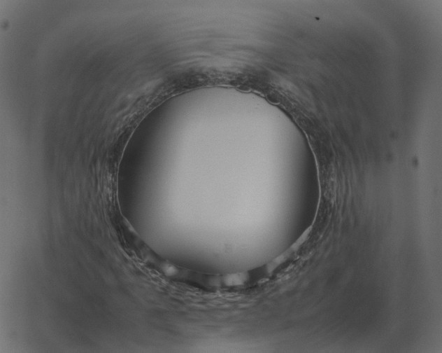 X0000067891061200604271820