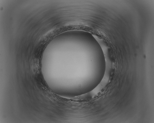 X0000067891062200604271820