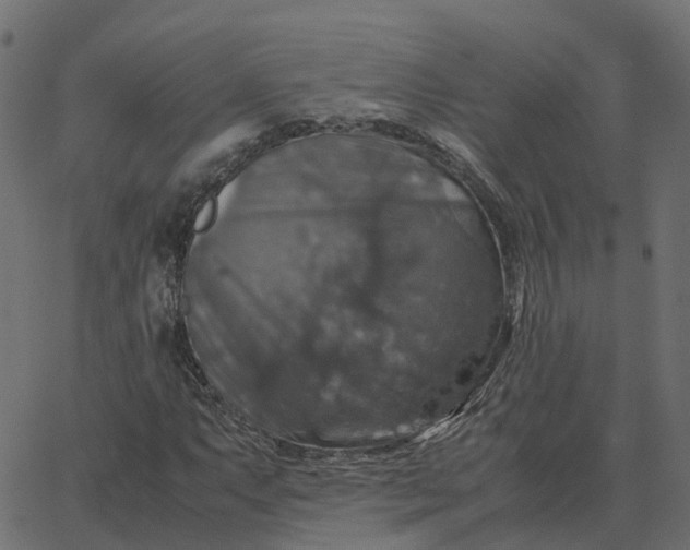 X0000067891063200604271820