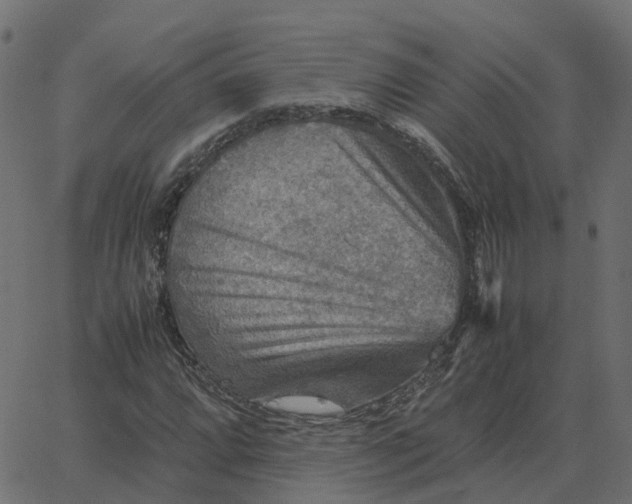 X0000067891064200604271820