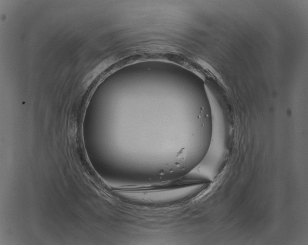 X0000067891065200604271820