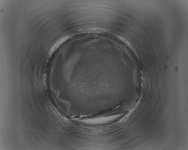 X0000067891066200604271820