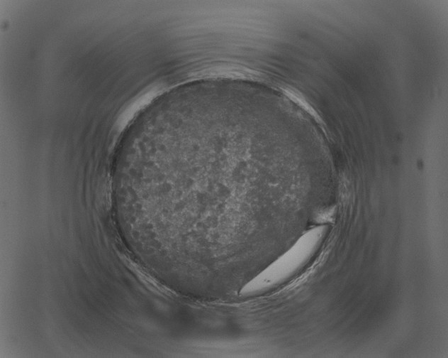 X0000067891067200604271820