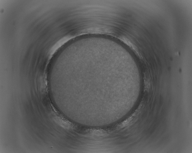 X0000067891070200604271820