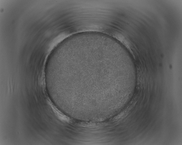 X0000067891072200604271820