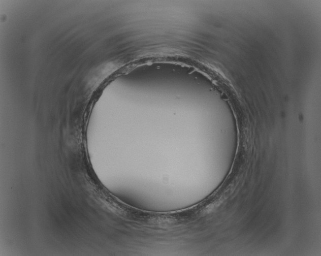 X0000067891073200604271820