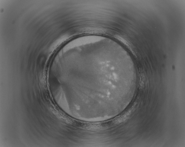 X0000067891074200604271820