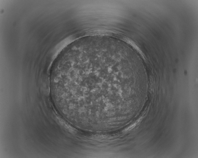 X0000067891075200604271820