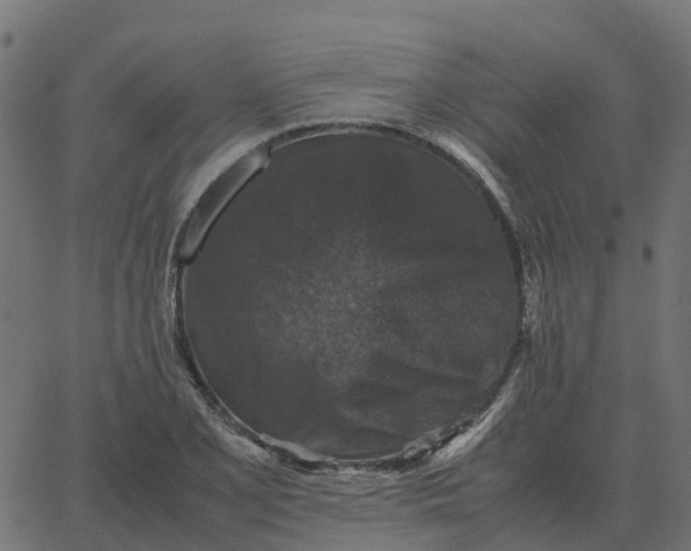 X0000067891077200604271820